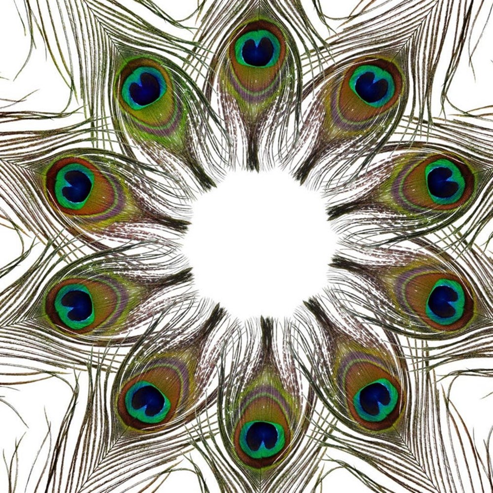 3dff6efb403f7513ce1050e2f118a7b9