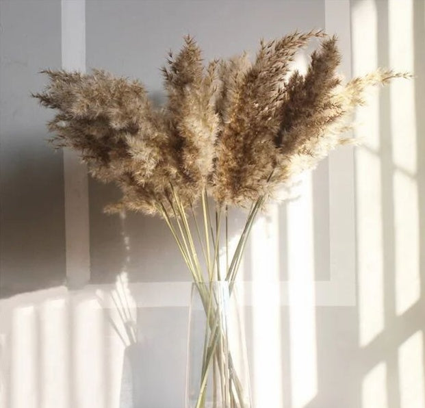 d5596f172377839c4a1d7c0f75dd19c4