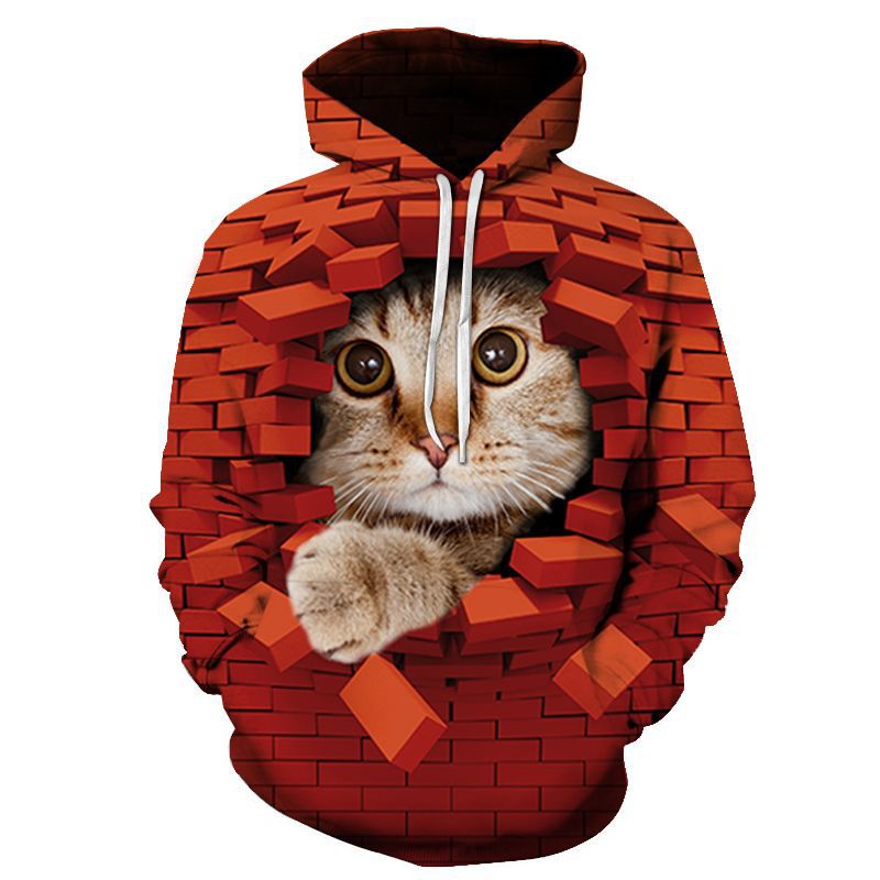5b5653480ecedb4491f5eacb7749de55