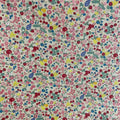 852af058c6918a2376ab42ba2d254ed9