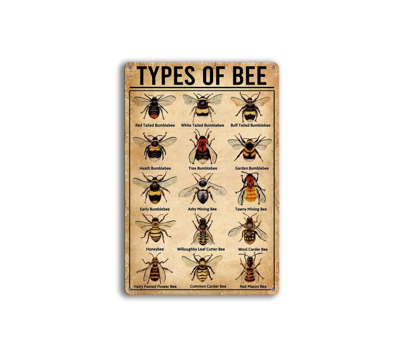 462bf878bf497f6f29ed9f2c537bb06b