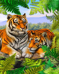 8f43f2d22bc2a0eae035303bf1e765b7